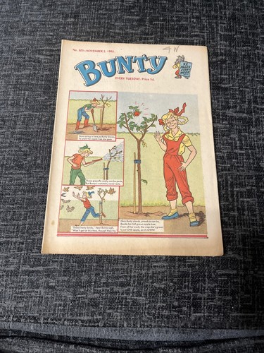 Bunty comic november - comic, 1963